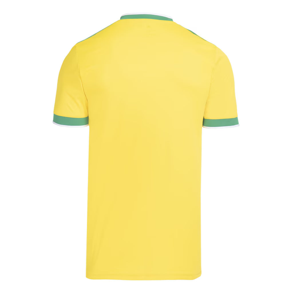 Camisa Cruzeiro Edição Especial Copa do Mundo 2026 - Torcedor Masculina Verde e Amarela