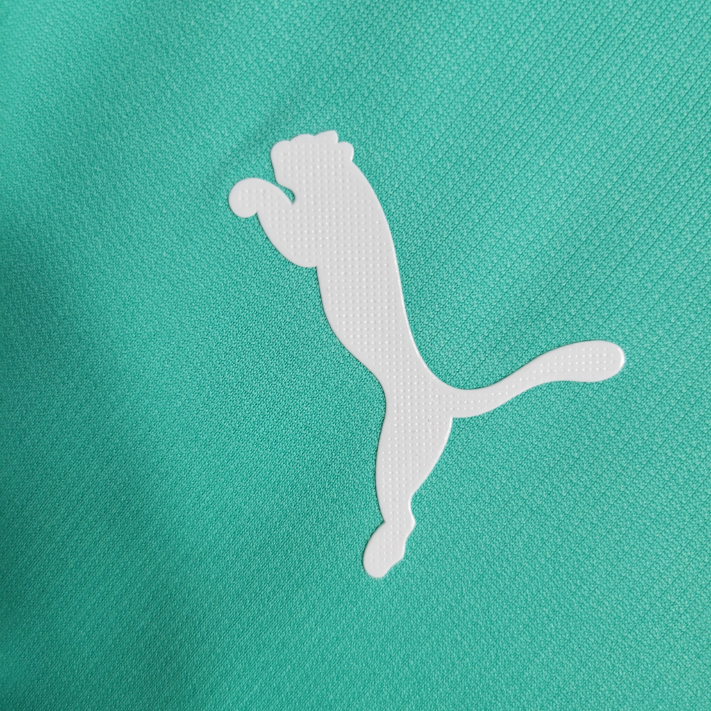 Camisa Palmeiras III 2019/2020 - Retrô - Verde Tricoline